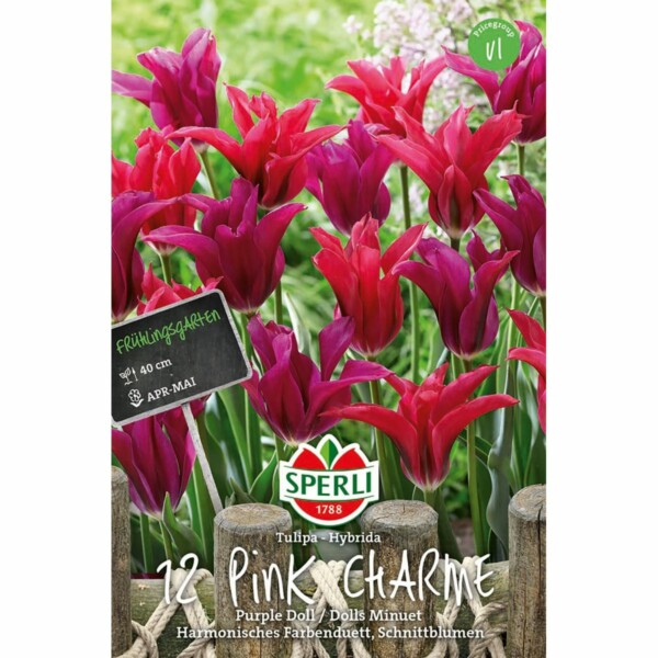 Sperli Frühlingsgarten  Pink Charme