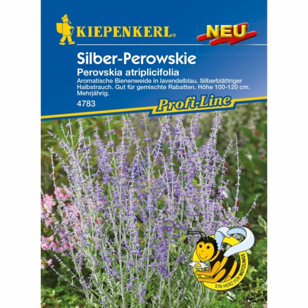 Perowskie Silberstrauch