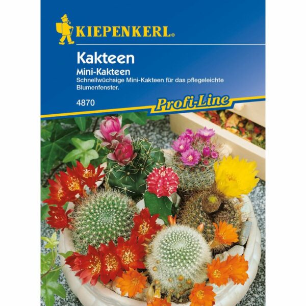 Mini-Kakteen schnellblühende Arten