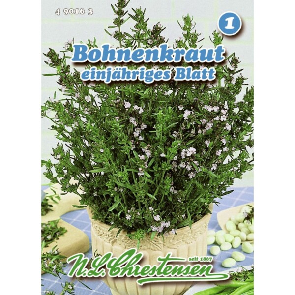 Bohnenkraut, einjähriges Blatt