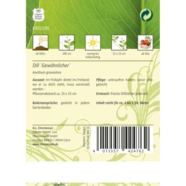 Dill Gewöhnlicher – Bild 2