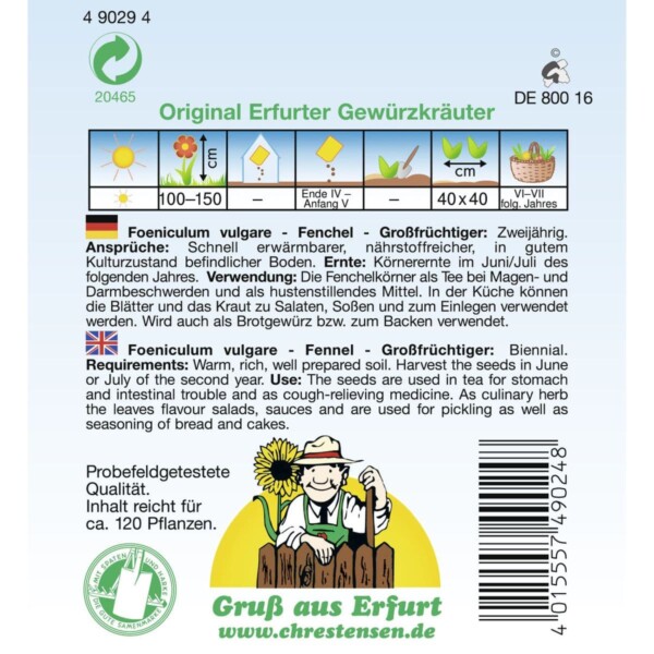Fenchel, Großfrüchtiger – Bild 2