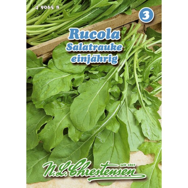 Rucola, Salatrauke