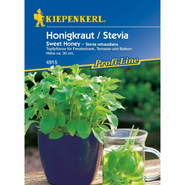 Honigkraut (Stevia) Sweet Honey