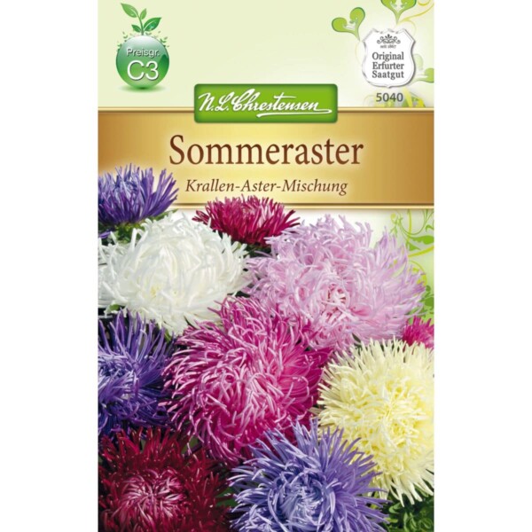 Callistephus Sommeraster , Krallen-Aster