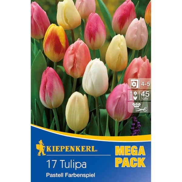 Triumph-Tulpen-Mischung Pastell Farbenspiel