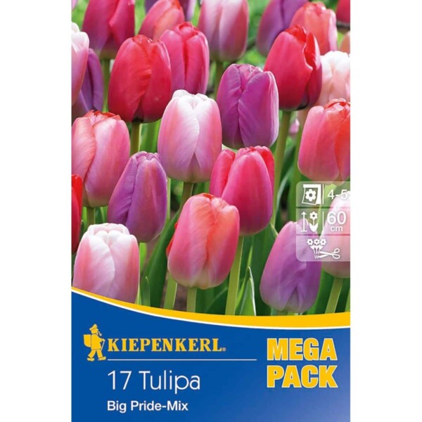 Tulpen Big Pride Mischung