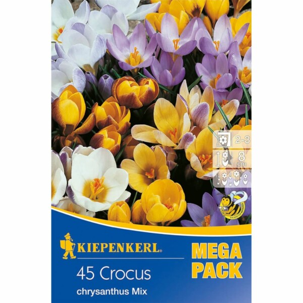 Mega-Pack Crocus Botanischer Mix