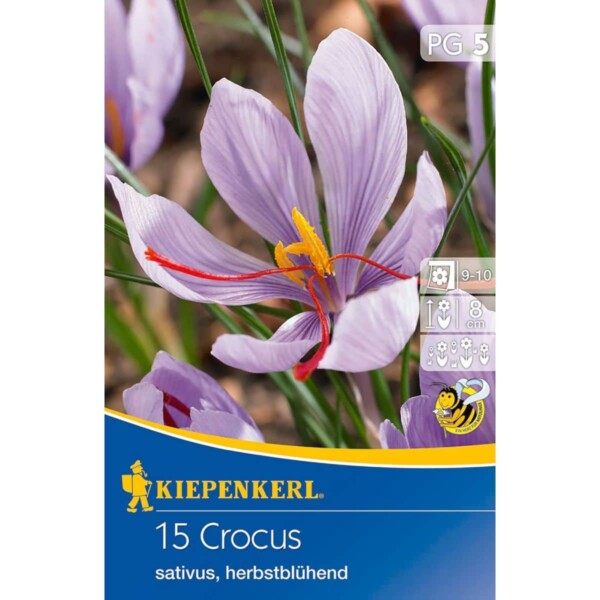 Safrankrokus Crocus sativus