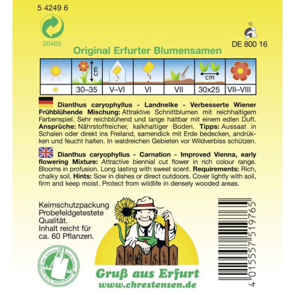 Landnelken `Verbesserte  Wiener Frühblühende Mischung´, gefüllt – Bild 2
