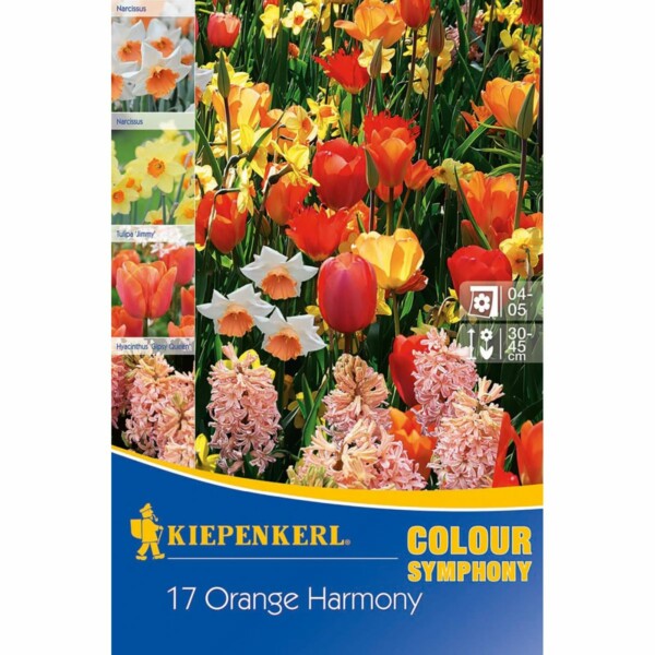 Symphony of Colour Orange Harmony