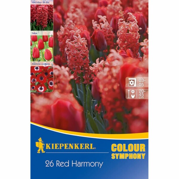 Colour Symphony Red Harmony