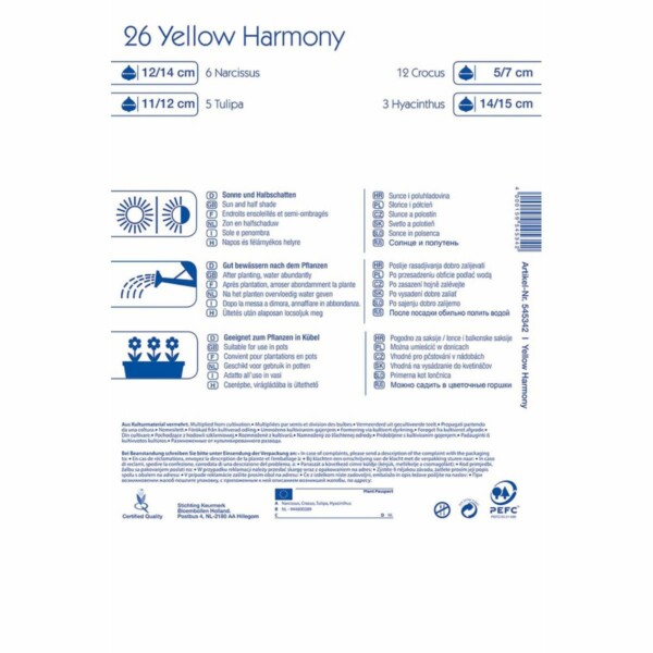 Colour Symphony Yellow Harmony – Bild 2