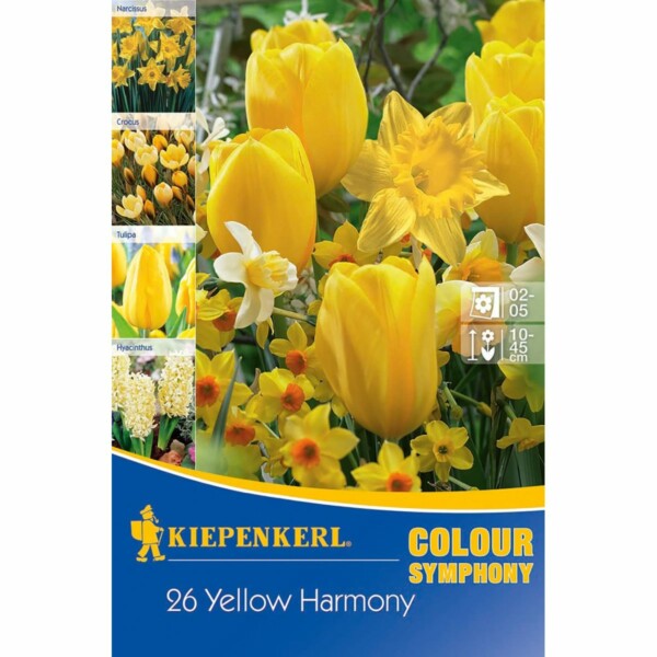 Colour Symphony Yellow Harmony