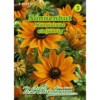 Rudbeckia hirta, Sonnenhut, Marmalade