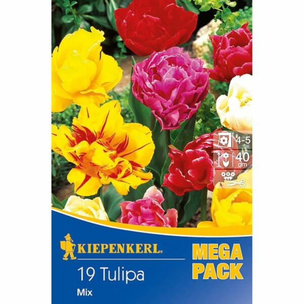 Gefüllte Tulpen Mischung