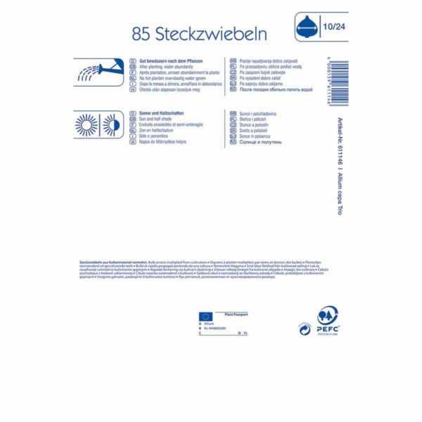 Steckzwiebeltrio – Bild 2