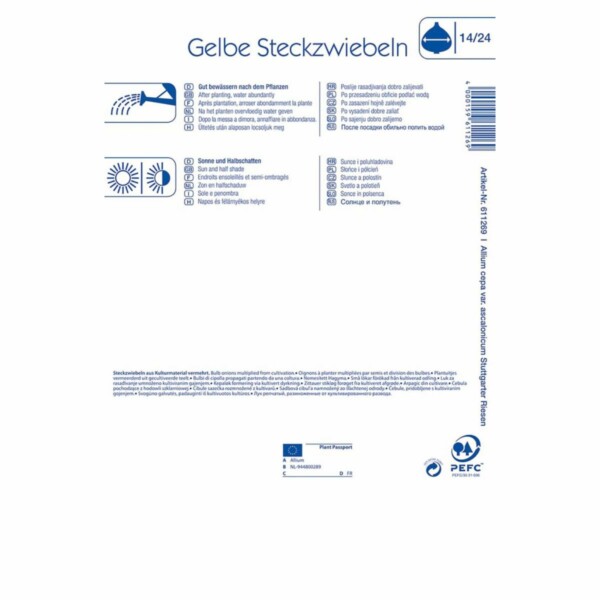 Gelbe Steckzwiebeln Größe 14/24 100G – Bild 2