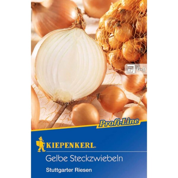 Gelbe Steckzwiebeln Größe 14/24 100G