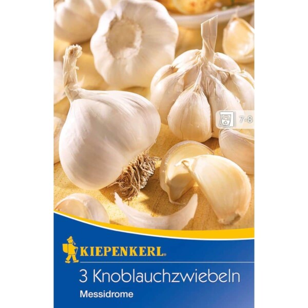 Knoblauch Messidrome