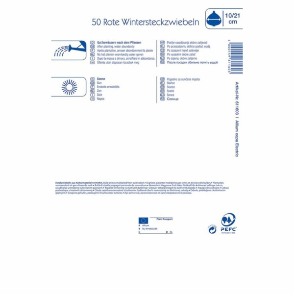 Wintersteckzwiebeln Electric – Bild 2