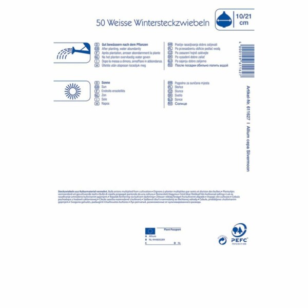 Wintersteckzwiebeln Silvermoon – Bild 2