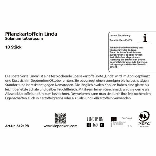 Pflanzkartoffeln Linda  Basis – Bild 2