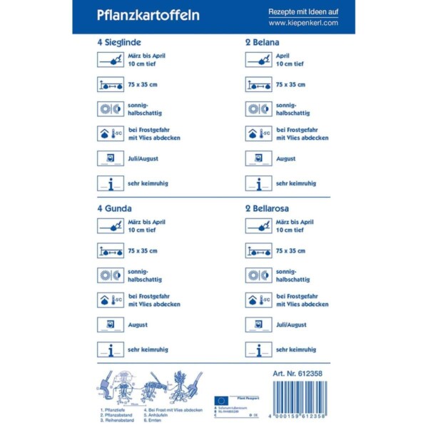 Pflanzkartoffeln Mischungstüte Grillkartoffeln – Bild 2