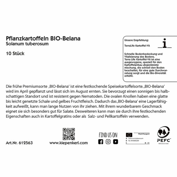 Bio-Pflanzkartoffeln Belana – Bild 2