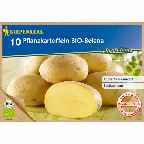 Bio-Pflanzkartoffeln Belana