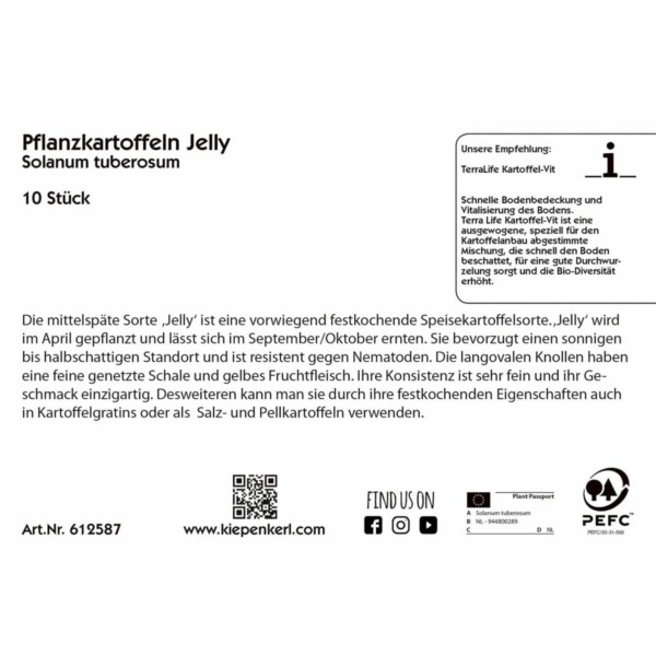 Pflanzkartoffeln Jelly – Bild 2