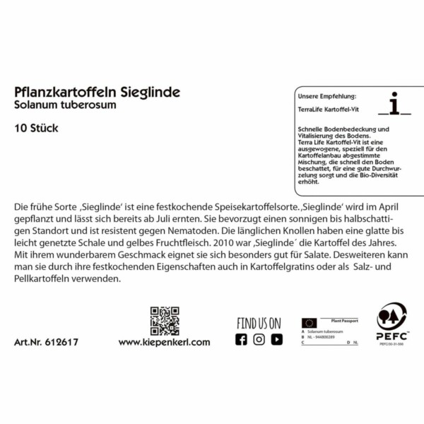 Pflanzkartoffeln Sieglinde – Bild 2