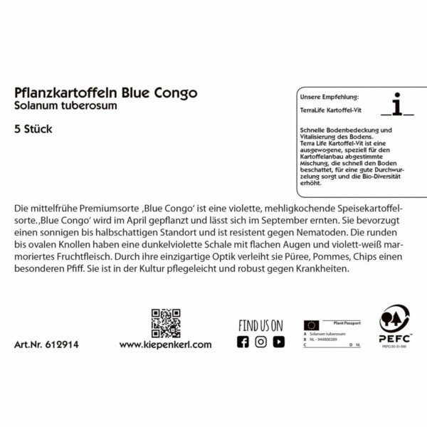 Pflanzkartoffeln Blue Congo 5 St – Bild 2