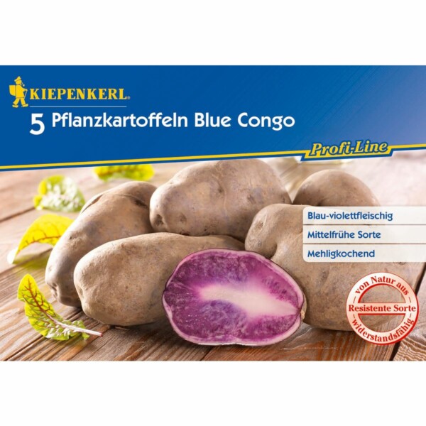 Pflanzkartoffeln Blue Congo 5 St