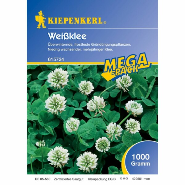 Weissklee