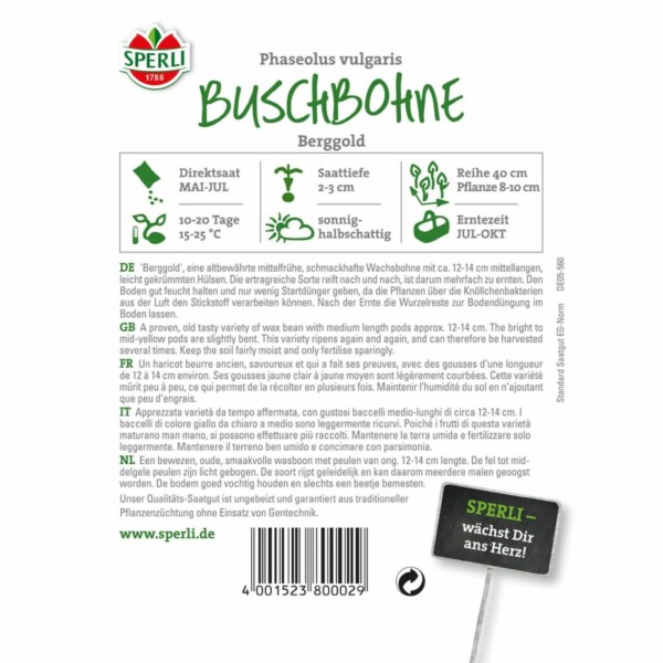 Buschbohnen. Berggold – Bild 2