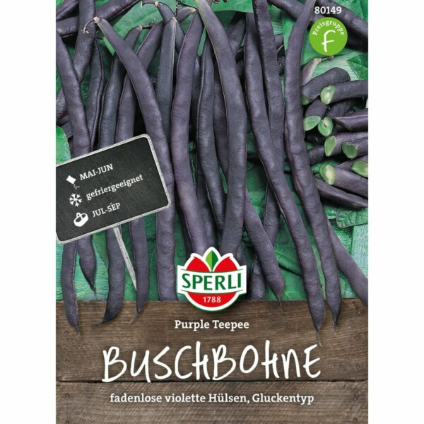 Buschbohne Purple Teepee