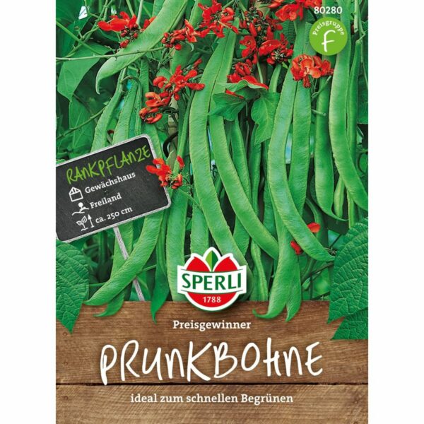 Prunkbohnen Preisgewinner