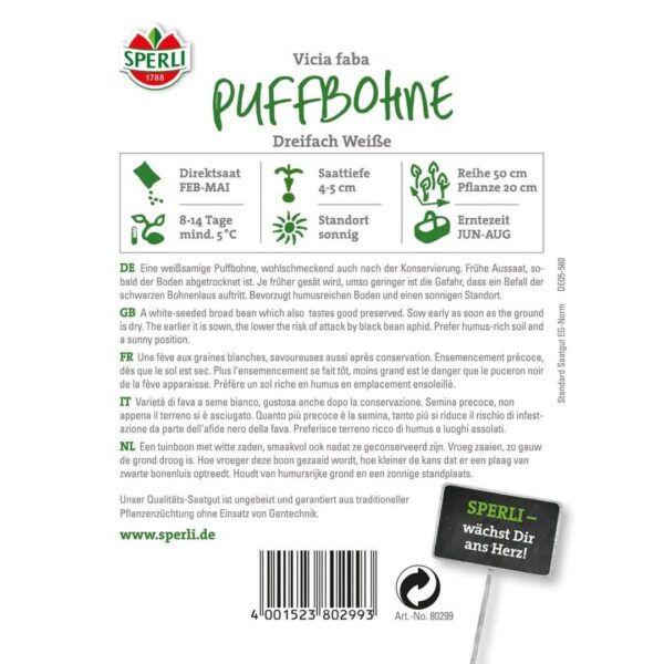 Puffbohne 'Dreifach Weiße' – Bild 2
