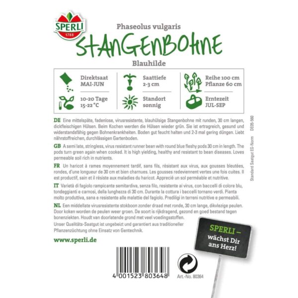 Stangenbohne 'Blauhilde' – Bild 2