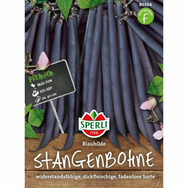 Stangenbohne 'Blauhilde'