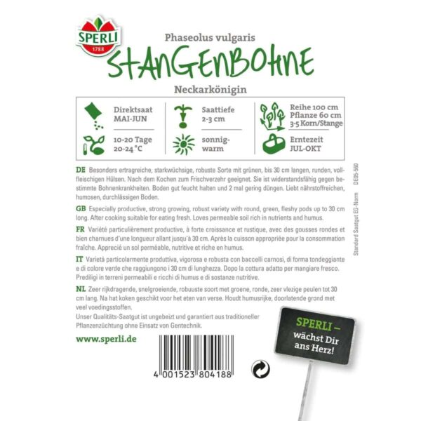 Stangenbohne 'Neckarkönigin' – Bild 2