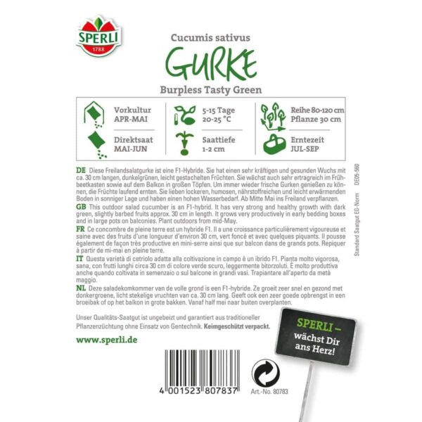 Salatgurke 'Burpless Tasty Green F1 ' – Bild 2