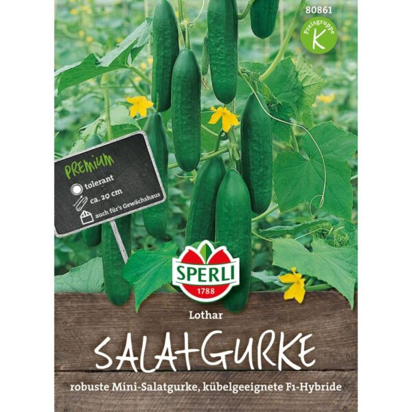 Salatgurke 'Lothar F1'