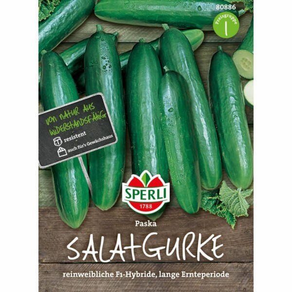 Salatgurke 'Paska F1'