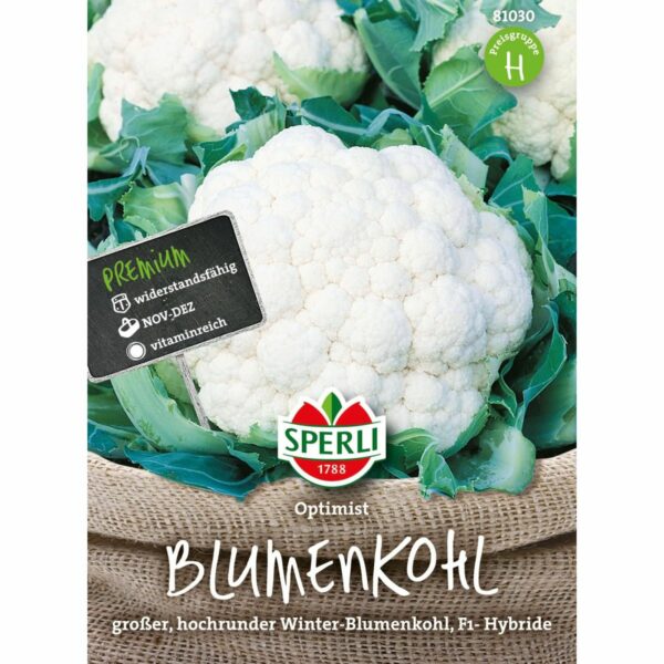 Blumenkohl 'Optimist F1'