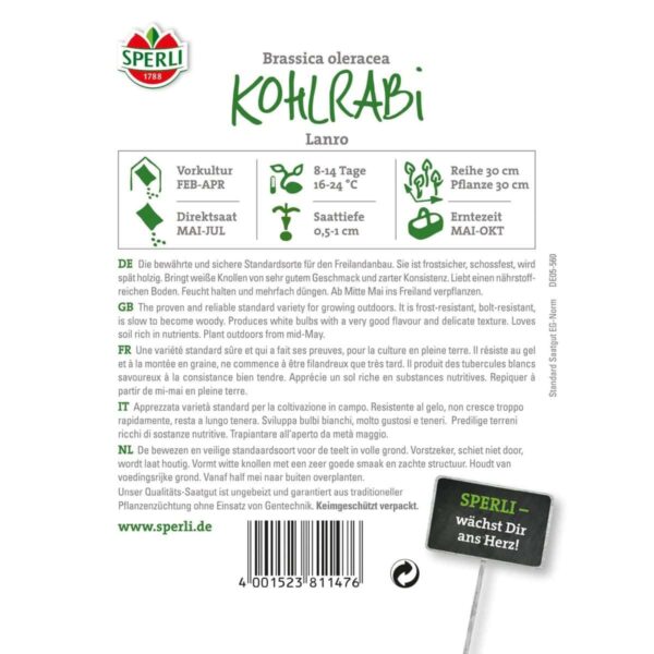 Kohlrabi 'Lanro' – Bild 2