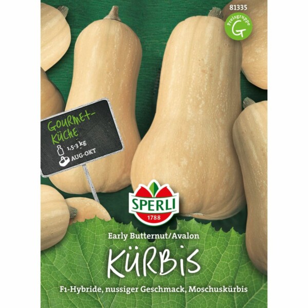 Kürbis    Early Butternut / Avalon F1