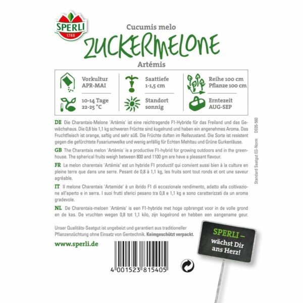 Zuckermelone ´Artémis´ – Bild 2