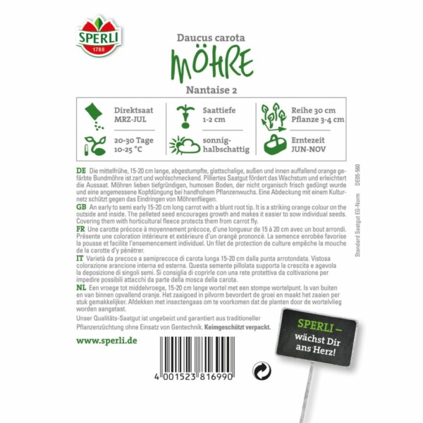 Möhre  'Nantaise 2' – Bild 2